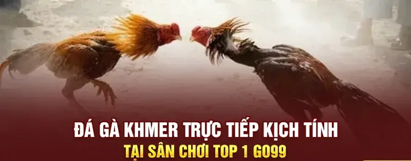 Đá Gà Khmer - Nét Văn Hóa Truyền Thống và Sự Hấp Dẫn