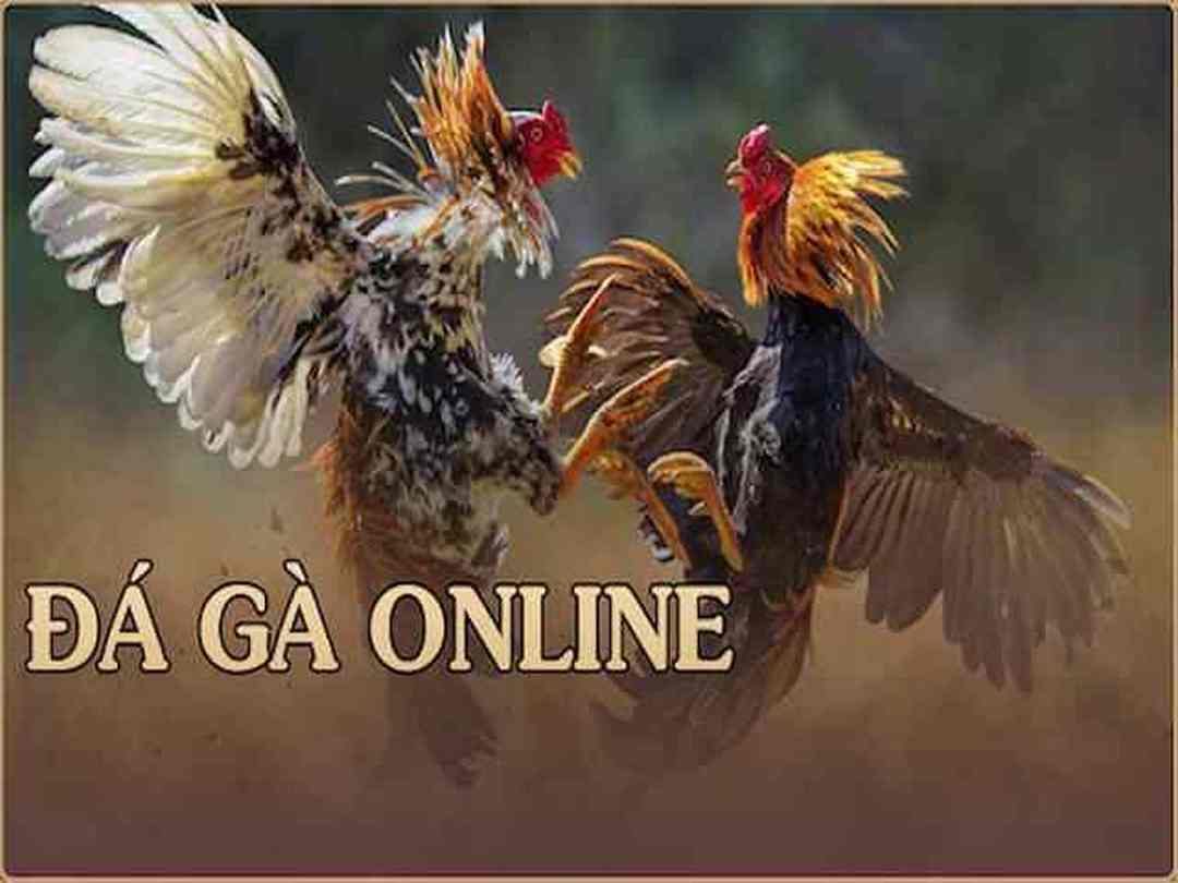 Đá Gà Online Có Bị Phạt Không? Đá Gà Online Vui Chơi Hay Vi Phạm