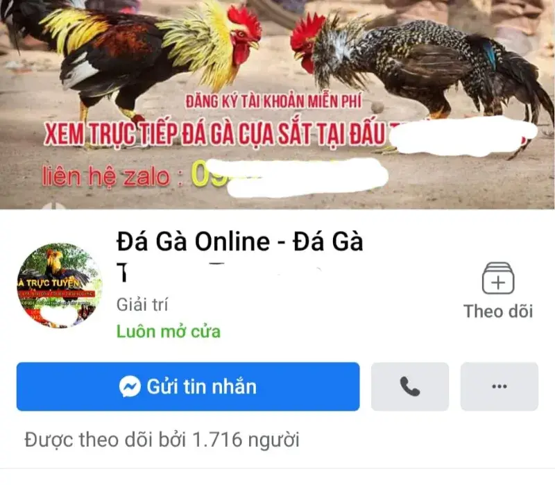 Đá Gà Online Có Bịp Không? - Tường Tận Từ A Đến Z