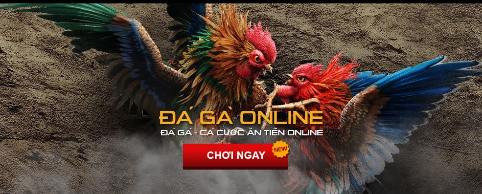Đá Gà Online SV388 - Giải Trí Đỉnh Cao, Thắng Lớn Mỗi Ngày