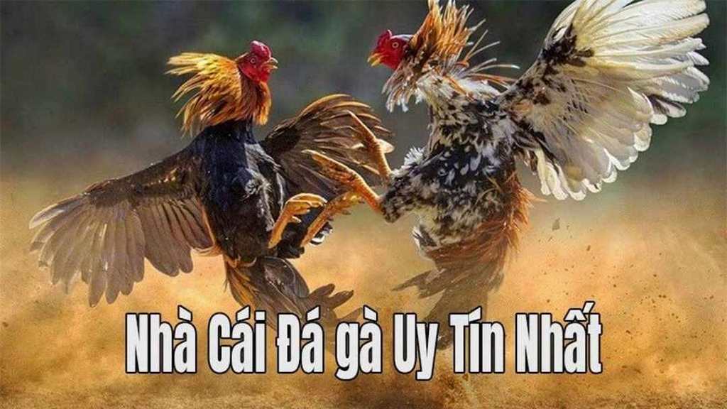 Nhà Cái Sv388 Đánh Giá Chi Tiết và Khuyến Mãi Hấp Dẫn