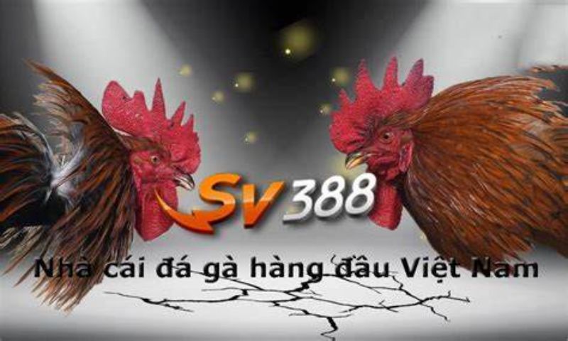 Nhà Cái Sv388 Đánh Giá Chi Tiết và Khuyến Mãi Hấp Dẫn
