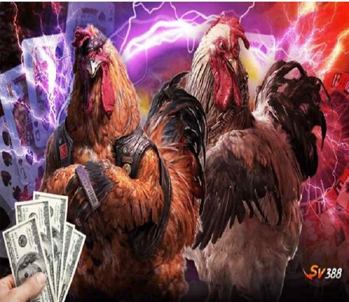 Rút Tiền Sv388 Nhanh Chóng - Bí Quyết Từ Chuyên Gia Đá Gà!